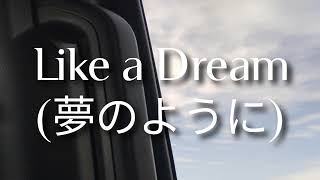 Austin Lowman - Like a Dream (夢のように)