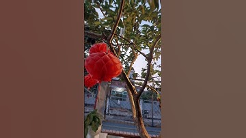 quán cà phê quá đẹp tại Hóc Môn #cafe