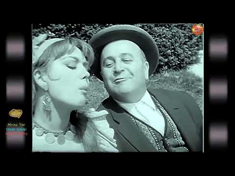 Semra Atılay & Sinan Subaşı - Hırsız Var (1964)
