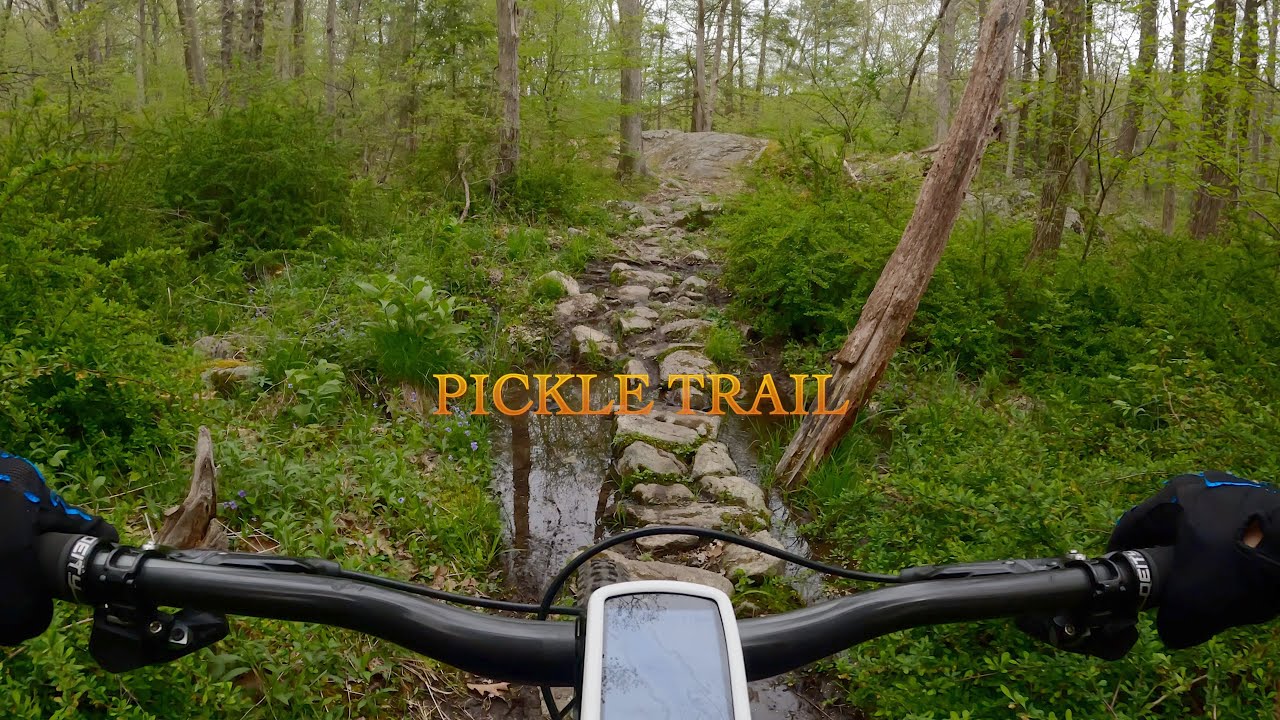 Wawayanda State Park Pickle Trail May 14, 2022
