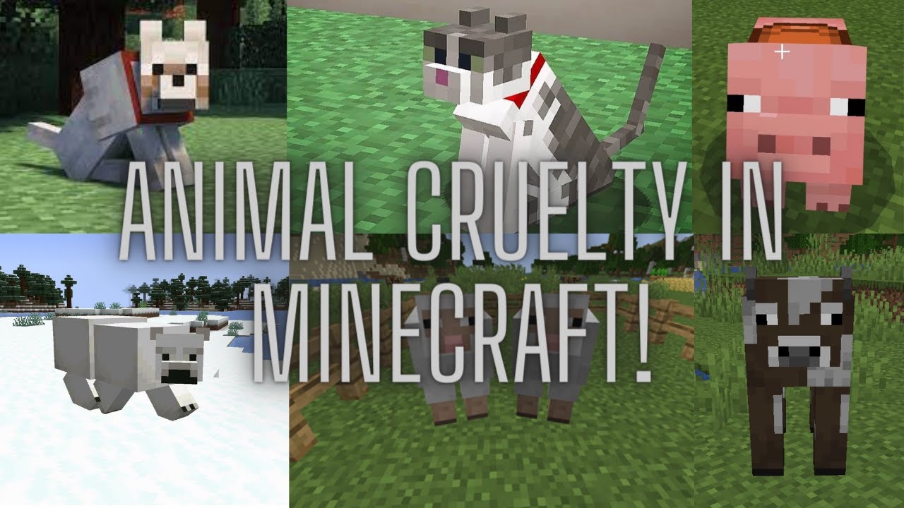 ANIMAL CRUELTY...! YouTube
