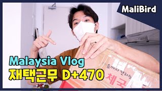 How Foreigner Dealing with MCO / 코인마냥 속터지는 말레이시아 외노자 생활 / Daily V-log In Malaysia.