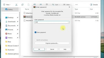 How to download and install Adobe Media Encoder 2025 Portable