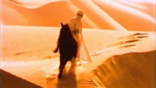 Shahi Parfum Werbung 1995