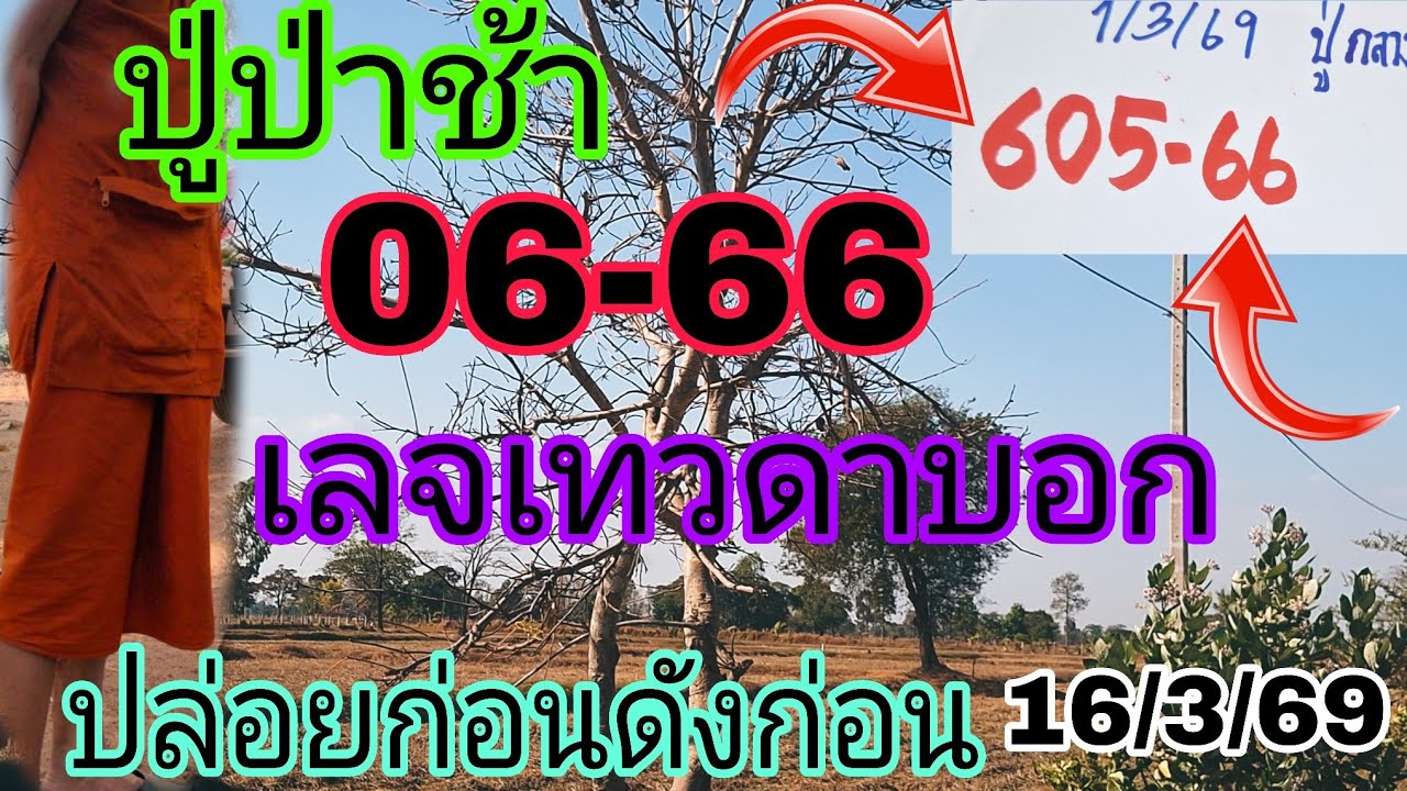 06-66ปู่ป่าช้าแม่นคักหางเดียวออกต่องวดทันที16/3/69