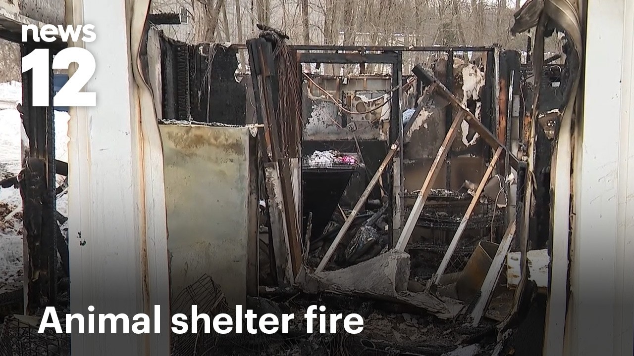 В результате пожара, уничтожившего приют для животных в Нью-Джерси, погибли 6 собак | News 12
