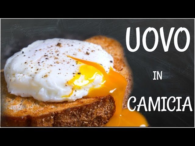 Uova in camicia: ricetta, trucchi e consigli pratici - Galline, Pollaio,  Ricette con Uova e Video divertenti