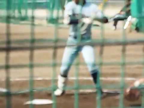 2017319高陽東01