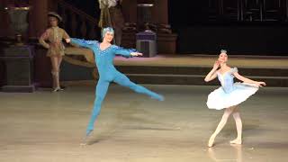 Sleeping Beauty Bluebird Pas De Deux Mariinsky Ballet Osmolkina Timofeyev