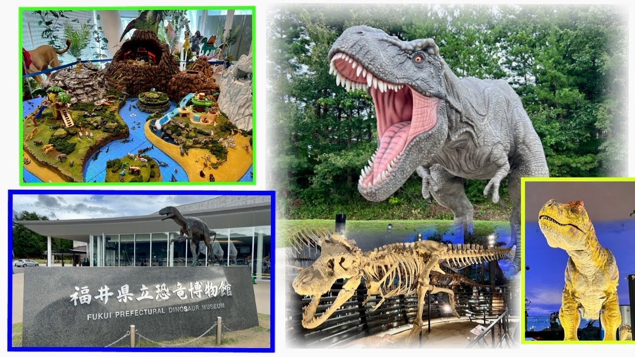 アニア　福井県立恐竜博物館 maxresdefault.jpg