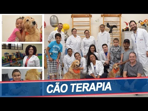 Vídeo: Nos bastidores com o cão estrelado no novo filme 