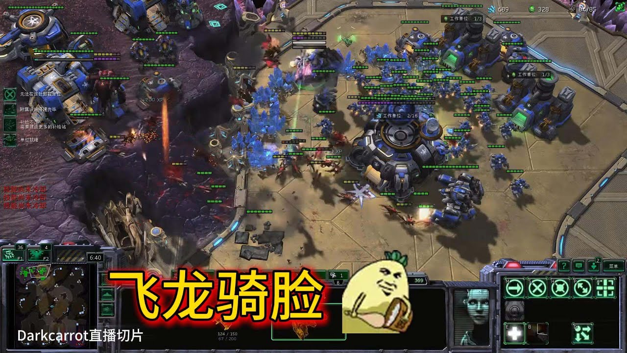 【darkcarrot直播切片】星际争霸，飞龙骑脸是优势太大