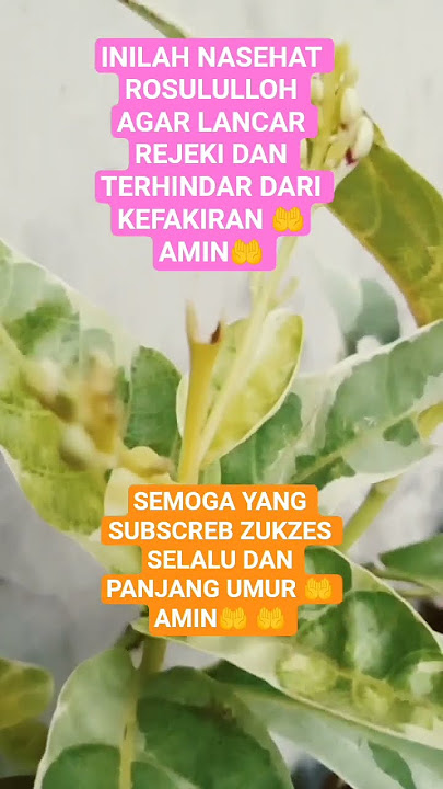 INILAH  NASEHAT ROSULULLOH AGAR LANCAR REJEKI DAN TERHINDAR DARI KEFAKIRAN 🤲AMIN🤲 #VIRAL VIDEO SHORT