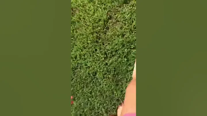 Stepping On Grass *GONE WRONG*