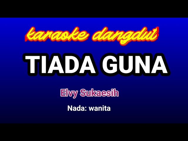 TIADA GUNA-Elvy Sukaesih || karaoke class=