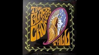 Video thumbnail of "Black Crowes - My Heart's Killing Me"
