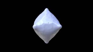 Realflow Test