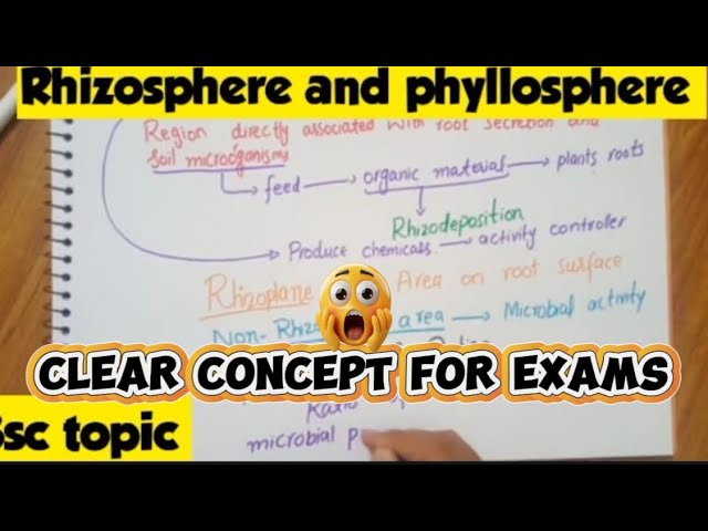 Rhizosphere and phyllosphere in Hindi and Urdu|microbiology|Bacteriology #botany