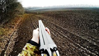 Следы по чернотропу, стойка по зайцу, работа с голосом - Охота на зайца / Hare hunting Следы по чернотропу, стойка по зайцу, работа с голосом - Охота на зайца / Hare hunting