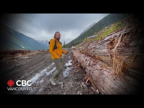 Видео: Келсо түрдэг тэрэг австралид үйлдвэрлэсэн үү?