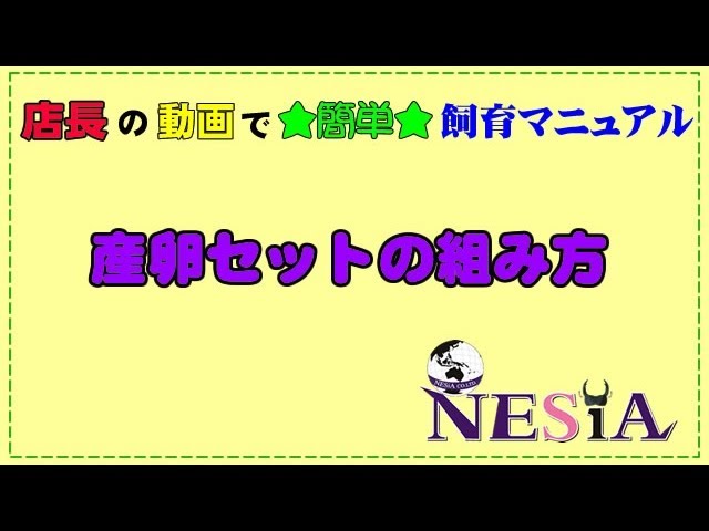 店長の動画で 簡単 飼育マニュアル 産卵セットの組み方 Youtube