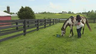 Equine therapy eases stress for frontline workers fighting COVID-19 pandemic