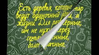 картинка: Перлы из школьных сочинений. Сборник №15