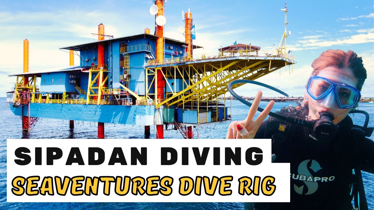 Dive from an OIL RIG! Sipadan Diving at Seaventures Dive Rig