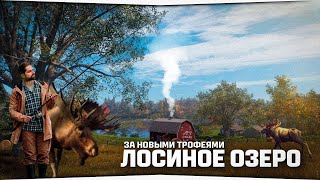 видео: Турнир на Лосином озере • Русская Рыбалка 4 картинка: Турнир на Лосином озере • Русская Рыбалка 4