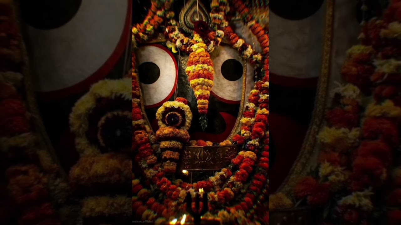 Trust God's  plan 🌺♥️🙏