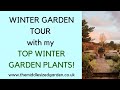 Winter GARDEN TOUR - plus my TOP WINTER GARDEN PLANTS