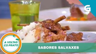 Receita de xabaril con salsa de chocolate e cervo con verduras