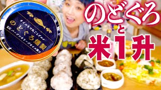 【大食い】超高級缶詰とおむすび1升！出雲のおしゃれでおいしいお土産食べ比べ♥ロシアン的お気に入りも発表します！【ロシアン佐藤】【Russian Sato】