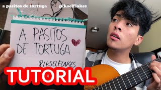 Vídeo de A Pasitos De Tortuga