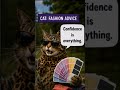 #cosplay #cats #dogs #funny #lol #music #friends #love #happy #laugh #cute #fail #drama