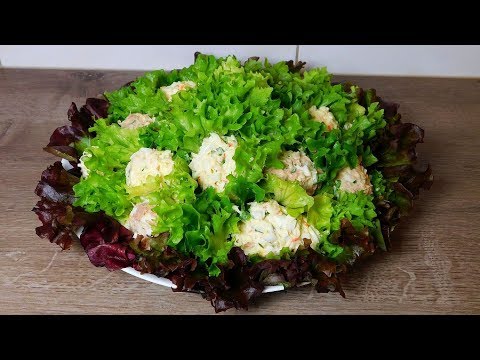 Как выбрать сухую пищу в 2019 году