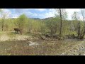 Relax Video , звуки маленькой реки в горах Алтая. с. Эдиган (и коровы)