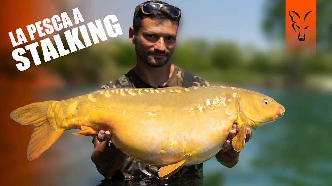 La pesca a stalking con Riccardo Fanucchi | Carp Fishing Italia