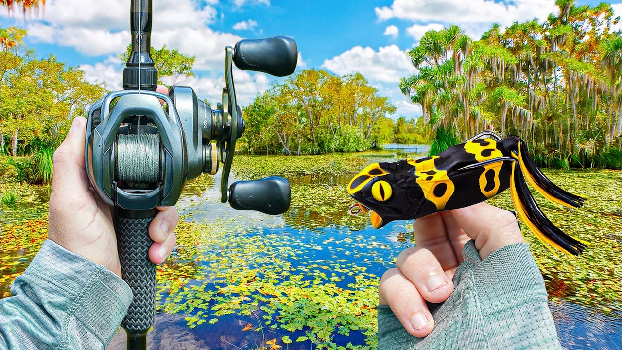 13 fishing baitcasting rods Origin NX Rod/Reel Combo – MasterB&H That’s why these blanks Gomexus 120mm Aluminum Handle Baby Beaver Bait Option:TO Chartreuse