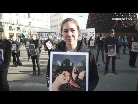 MANIFIESTO por el DÍA DE LOS DERECHOS ANIMALES
