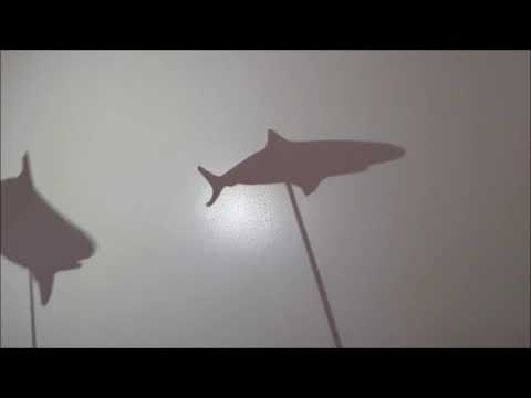 Shark Shadow Puppet 1
