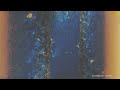 Capture de la vidéo Solar Fields - Lemonia 4K