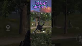 🤣За деревом сидит 🫨 Играем в Pubgmobile🔥С вами Kari❤️‍🔥 #пабгмобайл #pubgmobile #игры #топ