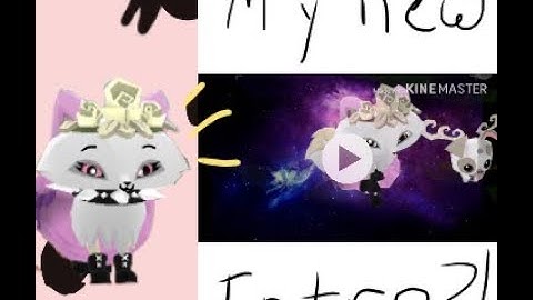 My new intro!-I worked very hard on this XD (Intro for my videos)