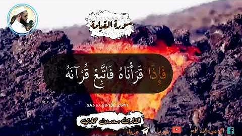 لا اقسم بيوم القيامه سوره القيامه /القارئ سعدون حمادي /ممكن الوصف 👇