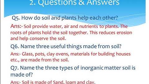 Class 3  Science   Chapter 13  Exercise
