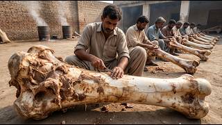 You Will Be Shocked Seeing Pakistanis Turn Used Cow Bones Into Shirt Buttons  - @Pakistani-Hands​