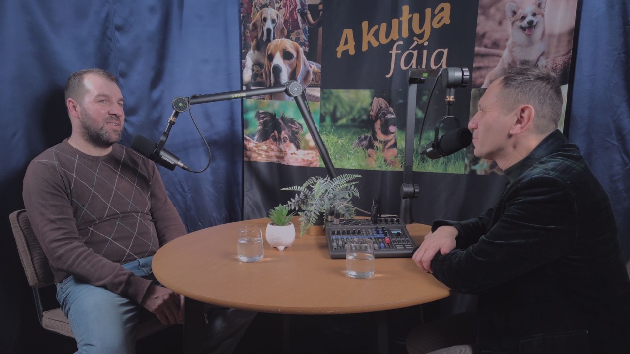 A kutya fája kutyabarát podcast  Vendég: Czekes Lóránd