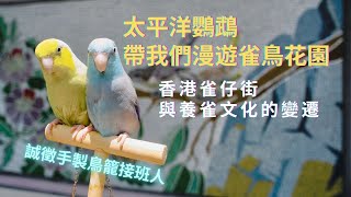 #漂泊 太平洋鸚鵡帶我們漫遊雀鳥花園香港養雀文化與雀仔街的變遷誠徵手製鳥籠接班人Hong Kong Bird Market