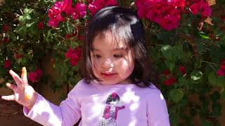 Mis Niñas Hermosas.